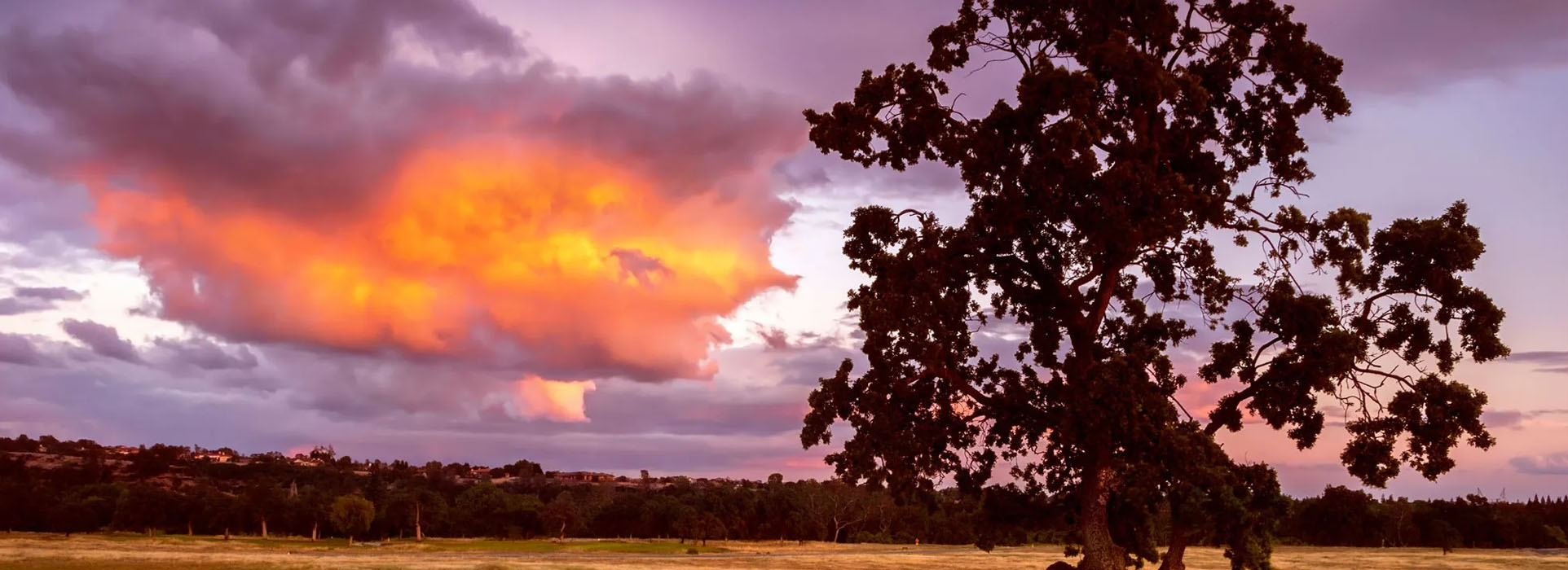 Mark G. Womack, DDS | Nerve Repositioning, Missing All Upper or Lower Teeth and Extractions